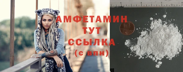 хмурый Белокуриха