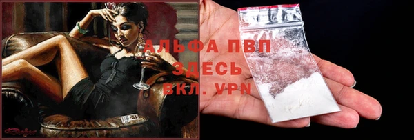 хмурый Белокуриха