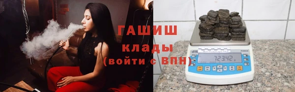 хмурый Белокуриха