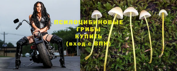 меф Беломорск