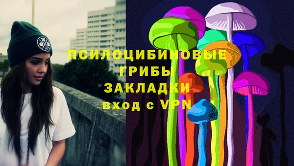 хмурый Белокуриха