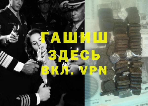 хмурый Белокуриха