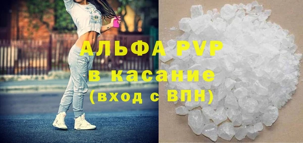 хмурый Белокуриха