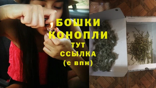 хмурый Белокуриха